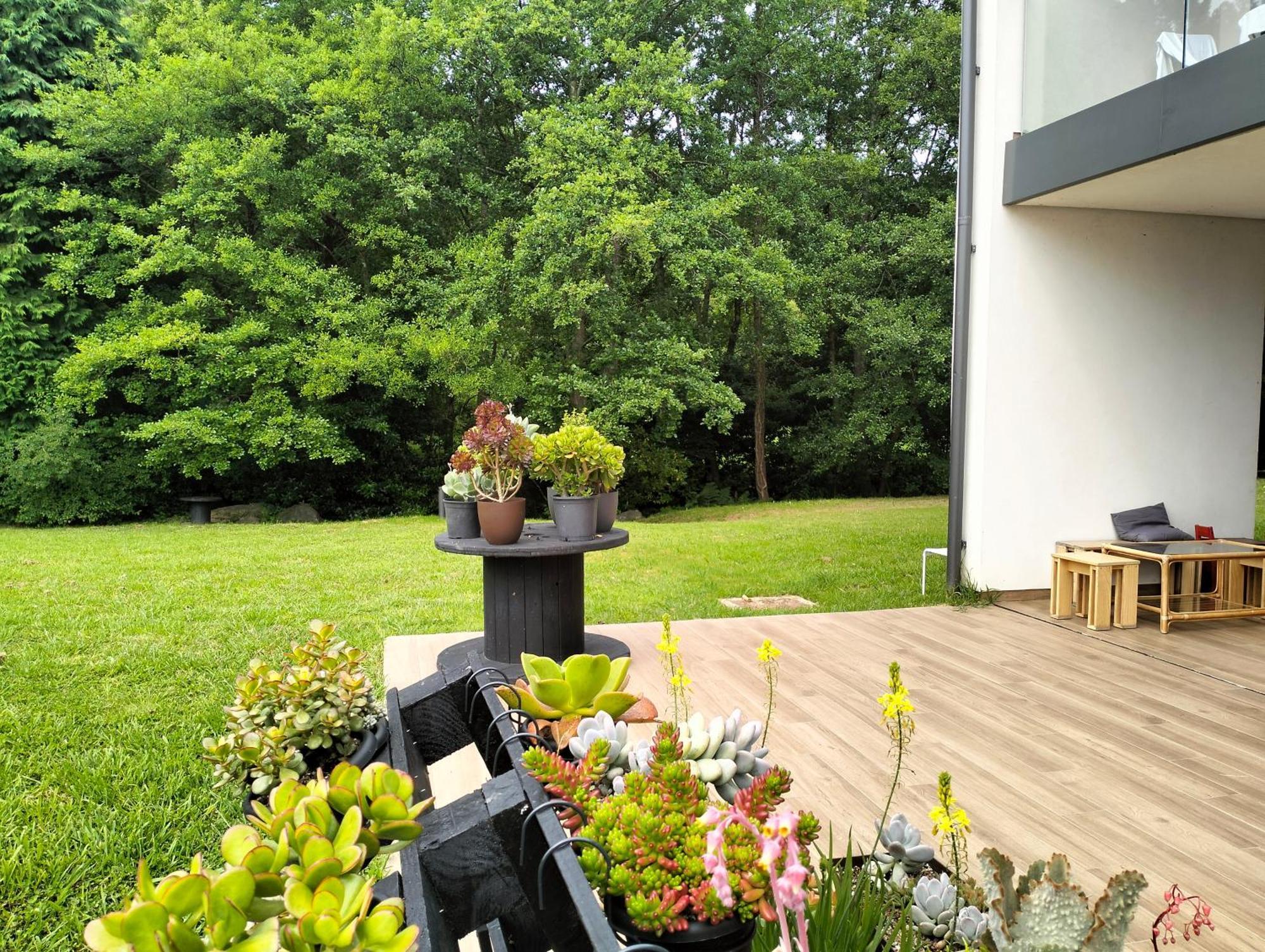 Agroturismo Araize Mungia Exteriör bild